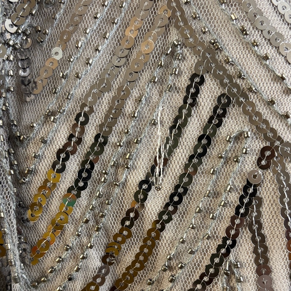 Sleeveless Silver Sequin Fringe Mini Flapper Dress Size 4XL NWOT #300 - Picture 4 of 14